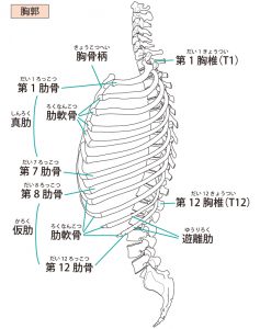 肋間 神経痛 みぞおち